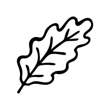 Doodle oak leaf. Hand drawn vector illustration Stock Illustration