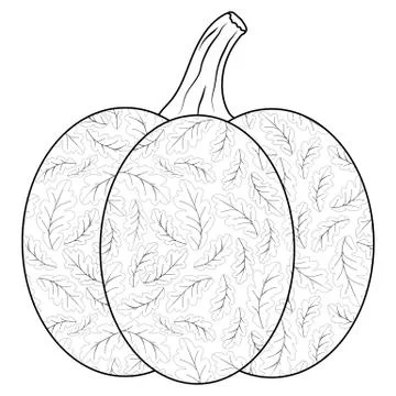 Doodle oak leaf pumpkin vector coloring book page Stock Illustration
