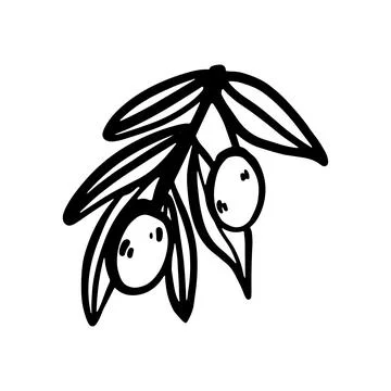 Doodle Olive Branch Vector Illustration Stock Illustration