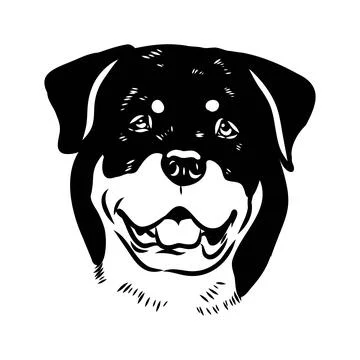 Doodle One Line Drawn Rottweiler . Black Curve Rottweiler dog, vector sketch Stock Illustration