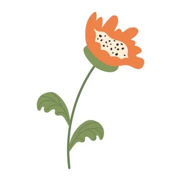 Doodle orange flower isolated on transparent background. Hand-drawn blooming  Stock Illustration