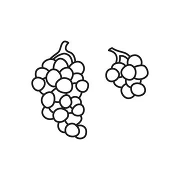 Doodle outline grape bunches. Stock Illustration