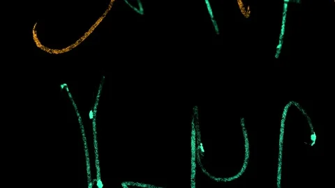 Doodle overlay effect. Stock-Footage 262259060