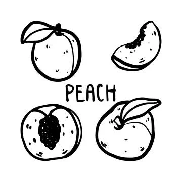 Doodle peach set. Vector Stock Illustration