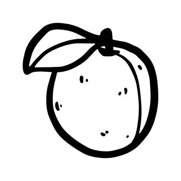Doodle peach vector illustration. Stock Illustration