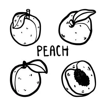 Doodle peach vector set Stock Illustration