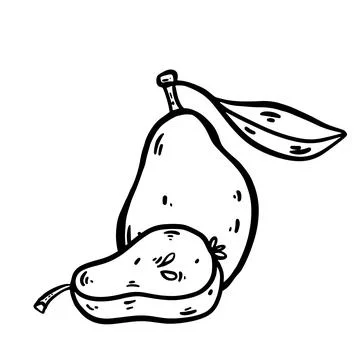 Doodle pear vector sketch, showing whole fruit and slices. Stock Illustration