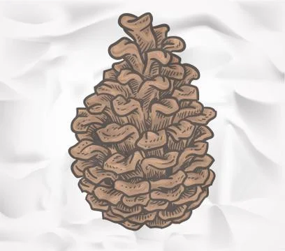 Doodle pine cone isolated on crumpled paper Stock Illustration