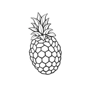 Doodle pineapple Stock Illustration