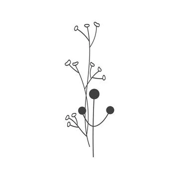 Doodle plants outline minimalistic composition. Abstract background with minimal Stock Illustration