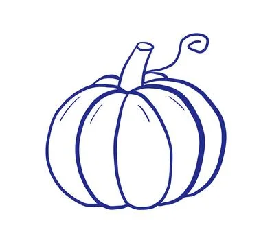 Doodle pumpkin hand drawn vector illustration. Outline vegetable for Hallowee Stock Illustration