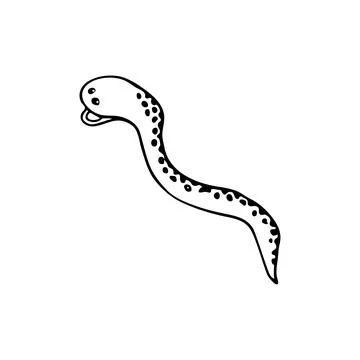 Doodle sea snake, moray eel fish. Inhabitant of the coral reef. Animal of the Stock Illustration