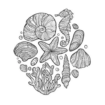 Doodle Seashell set in zentangle inspired style. Coloring book for adult and Stock Illustration