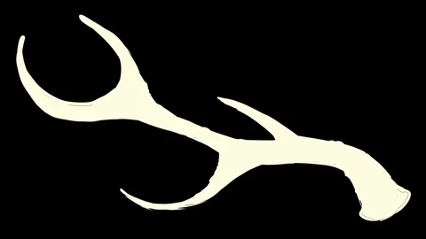 Doodle self drawing deer antler on black screen. Hunting concept stock animation Stock Footage 329389628
