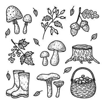 Doodle set of autumn forest elements Illustrazione stock