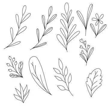 Doodle set different leaves, flowers Stock Illustration