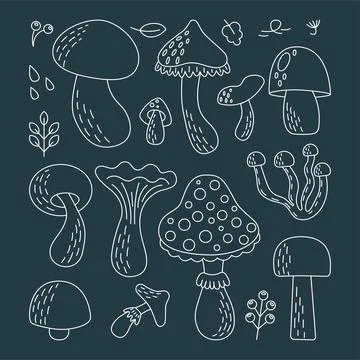 Doodle set of different types of mushrooms Stock Illustration