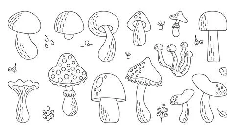 Doodle set of different types of mushrooms イラスト素材