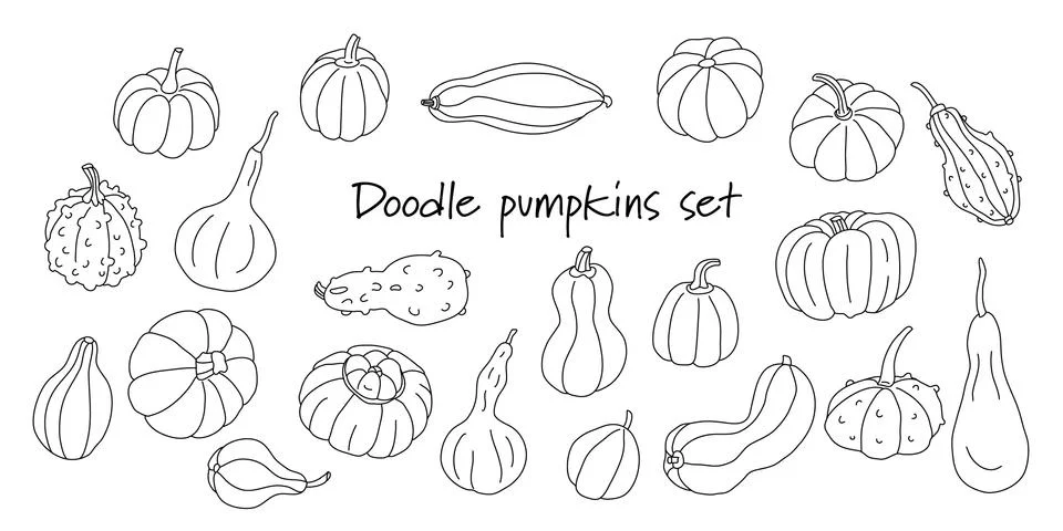 Doodle set with different varieties of pumpkins and squashes on white. Stock Illustration