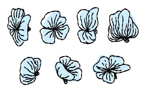 Doodle set of flowers. vector drawing, line. Monochrome artistic botanical .. Stock Illustration