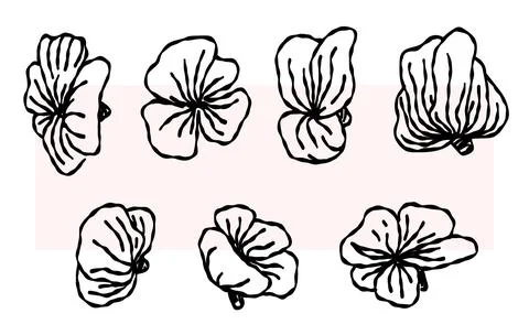 Doodle set of flowers. vector drawing, line. Monochrome artistic botanical .. Stock Illustration