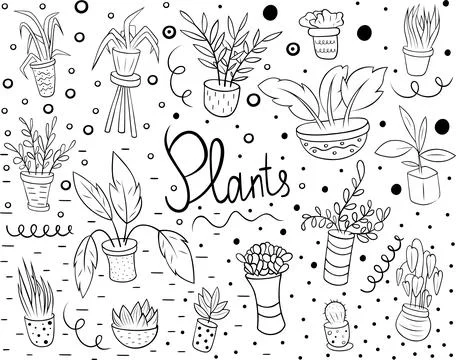 Doodle set of hand drawn house plants Stock Illustration