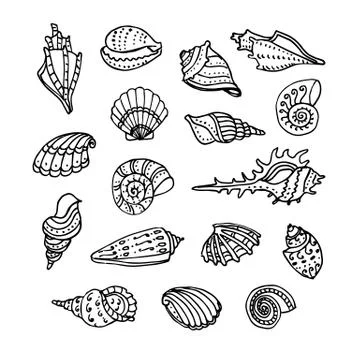 Doodle set of seashells. Stock Illustration
