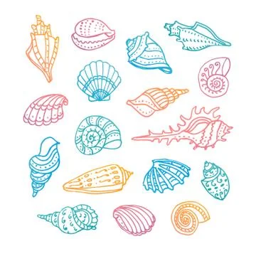 Doodle set of seashells. Stock Illustration