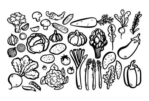 Doodle set of vegetables including cabbage, cauliflower, radish, beetroot, .. Stock Illustration