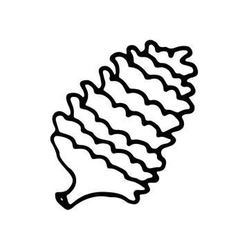 Doodle single pine cones element. Vector illustration. Stock Illustration