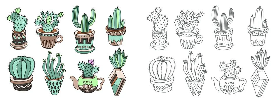 Doodle sketch drawing flat style of house plants - flowerpots with cacti Stock Illustration