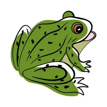 Doodle Sketch Frog Stock Illustration