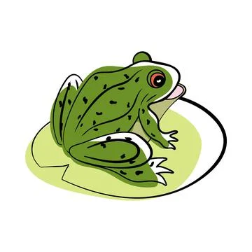 Doodle Sketch Frog Stock Illustration