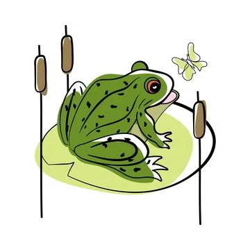 Doodle Sketch Frog Stock Illustration