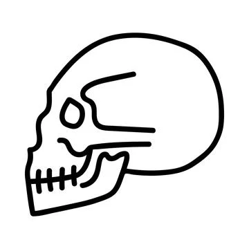 Doodle skull. Hand-drawn vector illustration Stock Illustration