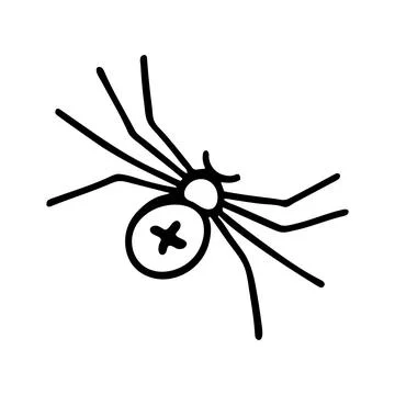 Doodle of spider isolated on white background. Stock Illustration