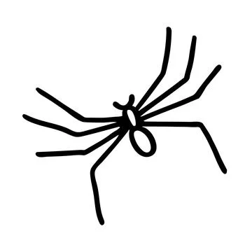 Doodle of spider isolated on white background. Stock Illustration