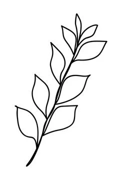 Doodle of spring twig isolated on white background Stock-Illustration