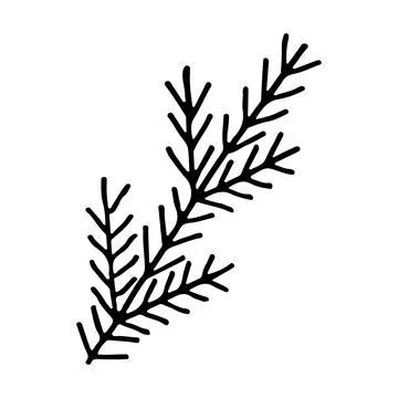 Doodle spruce tree branch line art. Forest nature. Hand drawn vector illustra Illustrazione stock