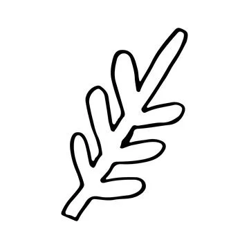 Doodle spruce tree branch line art. Forest nature. Hand drawn vector illustra Stock Illustration