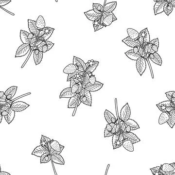 Doodle strawberry seamless pattern on white background. Sketched berries with Stock Illustration