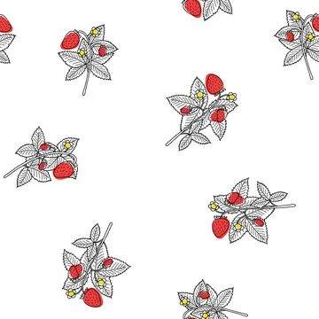 Doodle strawberry seamless pattern on white background. Sketched berries with Stock Illustration
