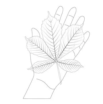 Doodle style chestnut leaf on the palm. Vector stock illustration. Stock Illustration