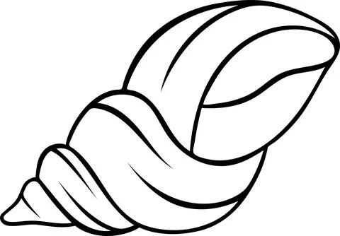 Doodle style illustration of a classic seashell, simple black and white ske.. Stock Illustration