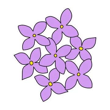 Doodle style lilac or hydrangea flowers, top view, spring design element, vector 스톡 일러스트