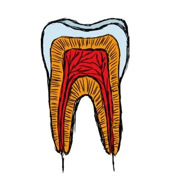 Doodle tooth Stock Illustration