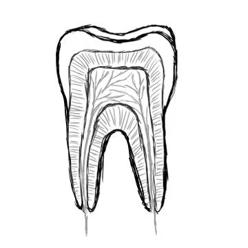 Doodle tooth Stock Illustration