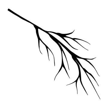 Doodle tree branch. Vector linear botanical illustration. Zentangle coloring  Stock Illustration