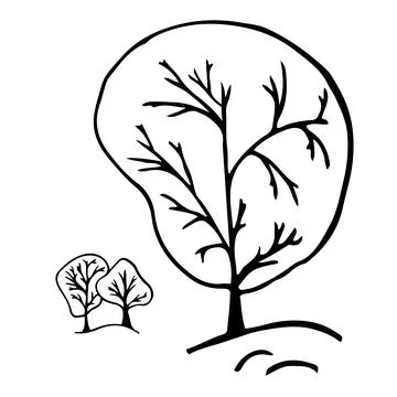 Doodle tree drawing. White and black. Vector illustration. Stock Illustration
