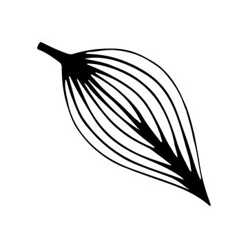 Doodle tree leaf. Vector linear botanical illustration. Zentangle coloring bo Illustrazione stock